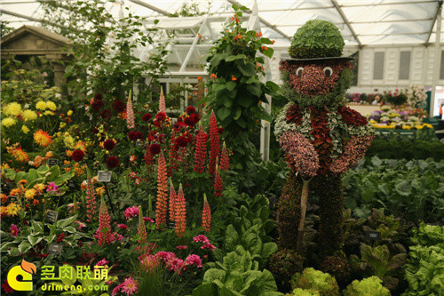 2014切尔西花卉展（Chelsea Garden Show）之14