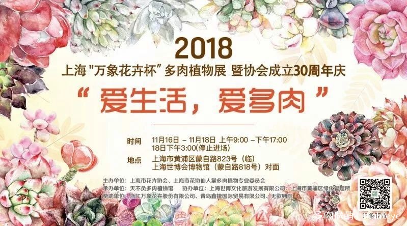 2018上海多肉展会里的多肉植物