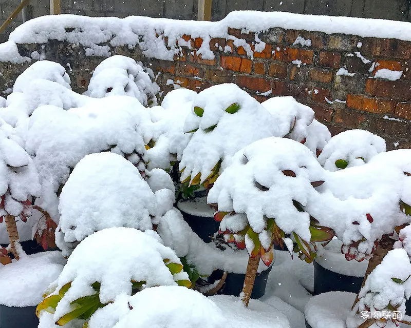 冰雪里的法师