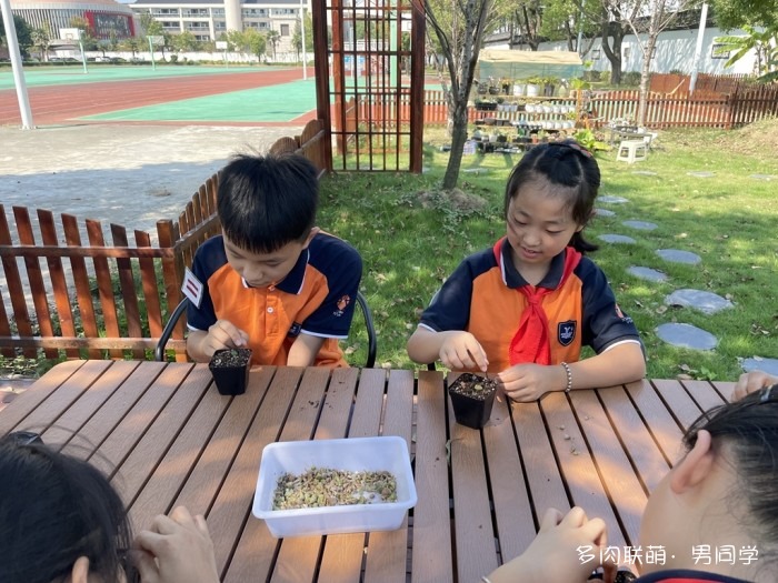 小学生的多肉生态园