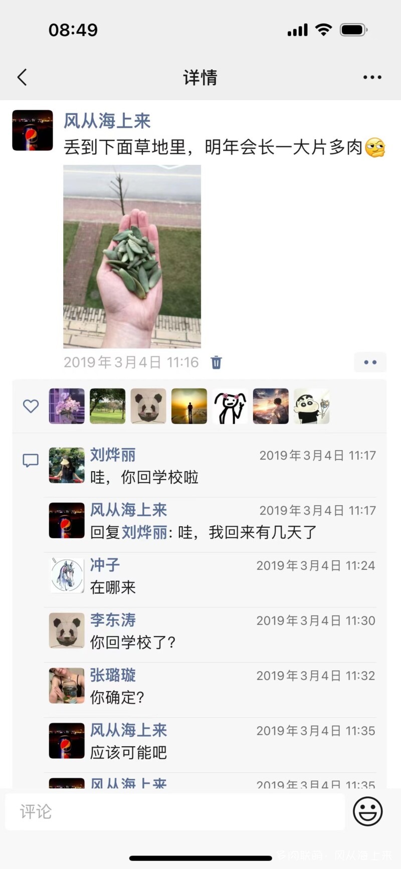 记以前养的多肉