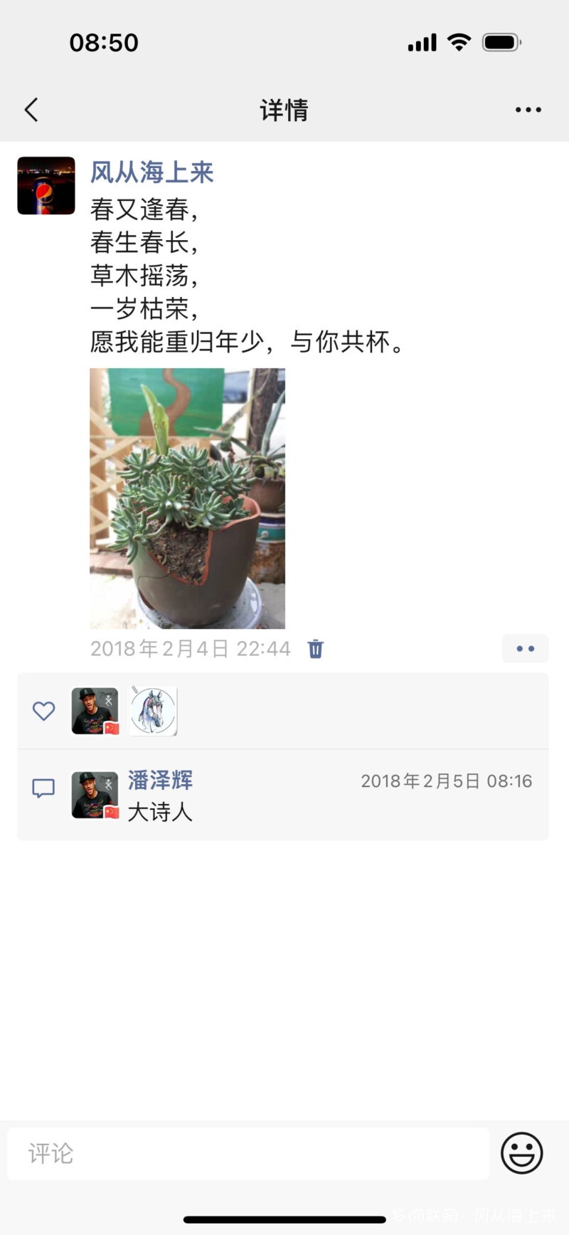 记以前养的多肉