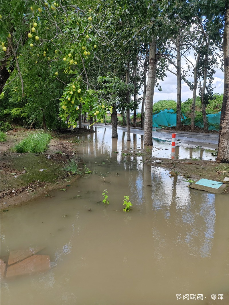 山东寿光大雨后