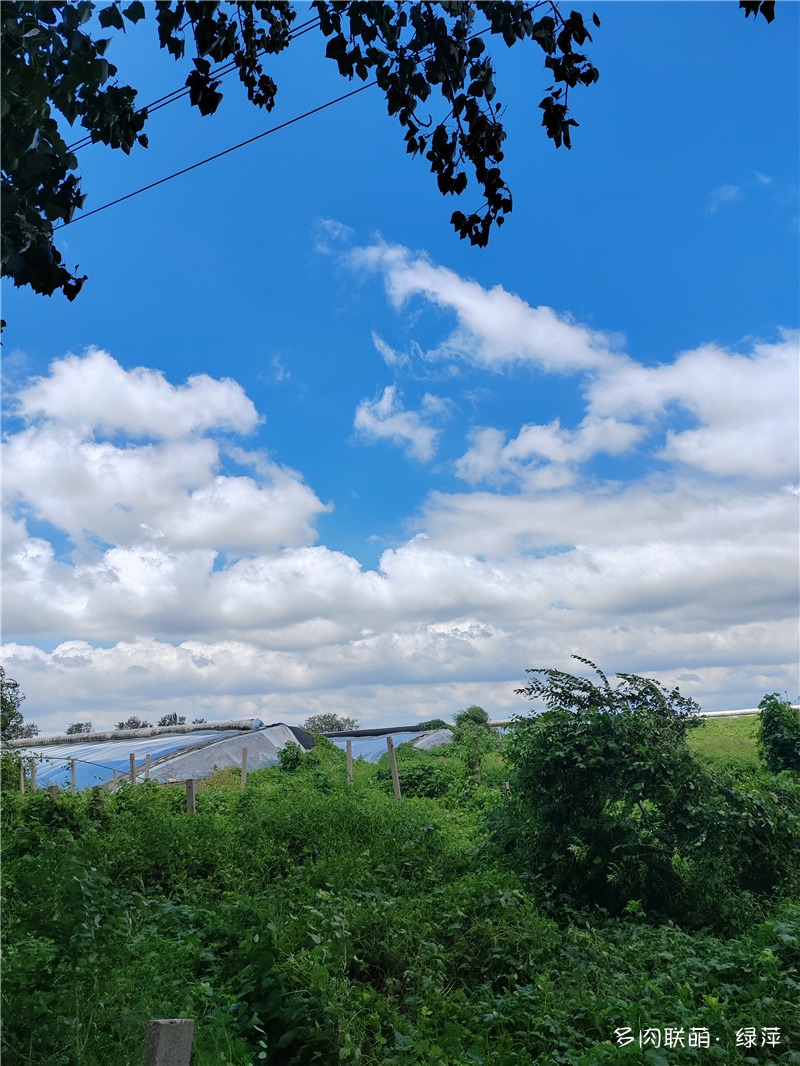 山东寿光大雨后