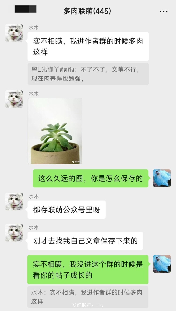 多肉上色小窍门