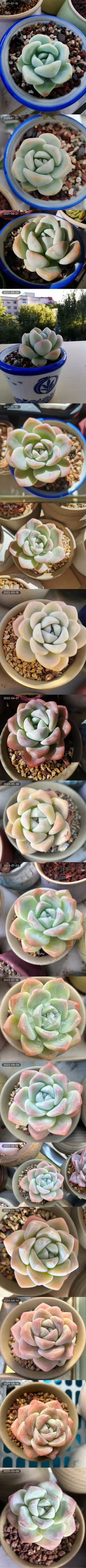  冰玉
